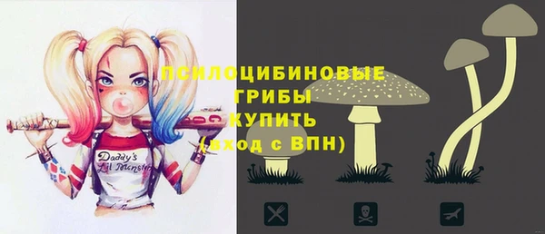 дмт Болотное