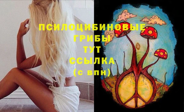 а пвп мука Аркадак