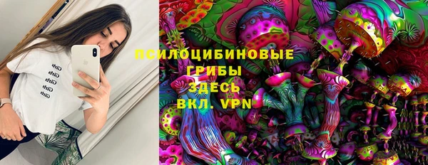 а пвп мука Аркадак