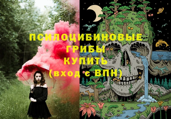 мдпв Армянск