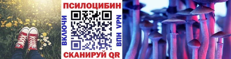 Галлюциногенные грибы Psilocybe  Кинель 
